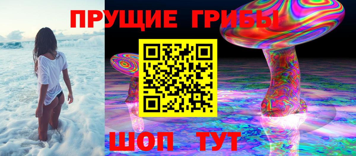 Псилоцибиновые грибы Psilocybine cubensis Кирово-Чепецк