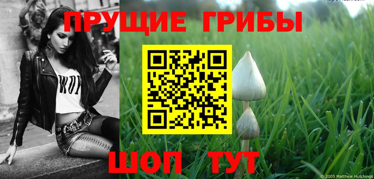 Кирово-Чепецк  Псилоцибиновые грибы мухоморы  Вход с VPN 